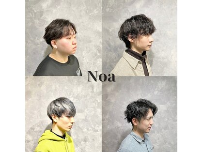 ノア(Noa)の写真
