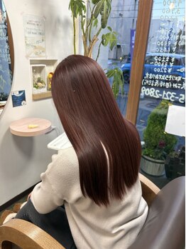 サムソンアンドデリラマハロ (samson&delila Mahalo)の写真/【矯正までは当てたくない方にもオススメ】徹底されたケアメニューで髪本来の美しさを取り戻します☆