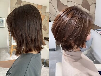 ムジカ(MUSICA)の写真