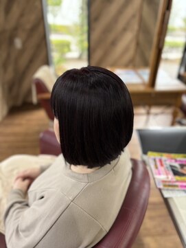 ルネッサンスヘアー ラファエロ(RAFFAELLO) エドルクオンカラー