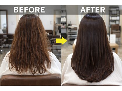 トンプソンへアグループの写真