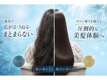 ロアゾブルーミュージアム(L'oiseau Bleu museum)