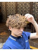 プードルパーマ