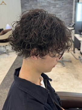 ヘアーアンドビューティーガーデン(HAIR AND BEAUTY GARDEN) 波巻きスパイラルパーマメンズセンターパートツイストパーマ