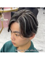 メッシュ、シルバーメッシュ