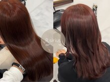 アールシリウス(R,SIRIUS)