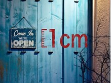 イッセンチ(1cm)