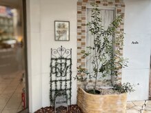 アッシュ 白楽店(Ash)の雰囲気（入口にあるオリーブの花壇が目印です♪）