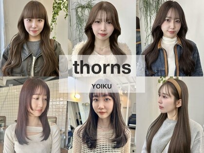 ソーンズ ヨイク(thorns YOIKU)の写真