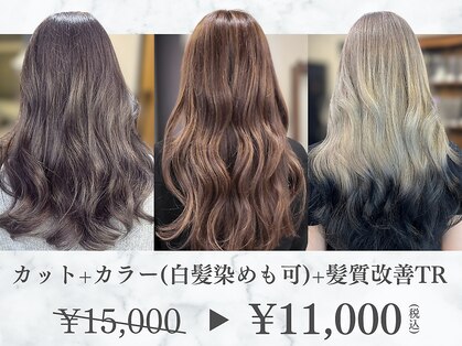 アーカイブ(Archive)の写真