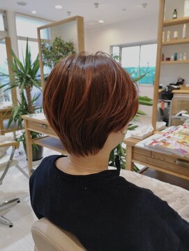 ビートル(Beetle) 大人ショート/丸みショート/マッシュショート/くびれショート