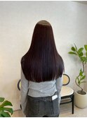 大人シアーベージュミニウルフボブミディアムレイヤー