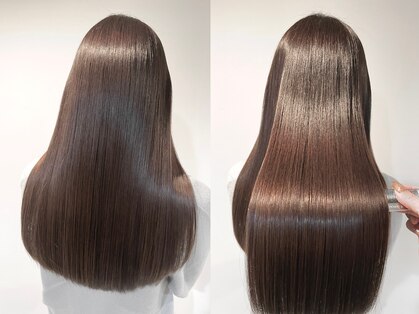 テイラー(Taylor)の写真