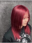 ◎【レッドカラー】