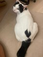 トトヘアーアンドネイル(toto hair and nail)&nbsp;おしりにハートがあるトトちゃんはサロン名の由来のねこちゃん