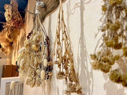 ルポル 大通店(rupolu)の写真