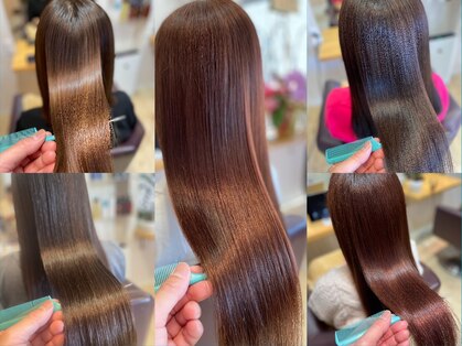 シオン(SHION)の写真