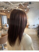 スペックホルダー(Spec Holder) 2.5 ブラウンカラー