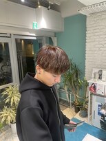 リーホリエ(Lee Horie) 【sakura】ハイライトカラー