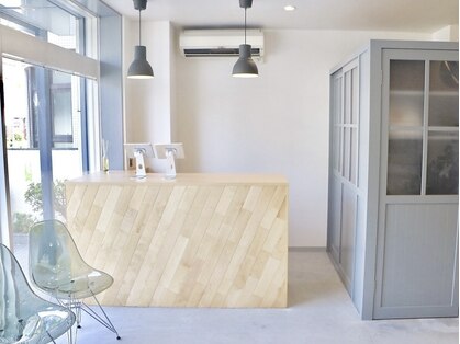 ロイ(Loy)の写真