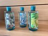 夏限定のミントシャンプー+カット