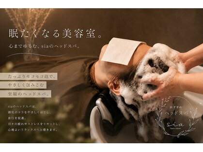 シア(sia.)の写真