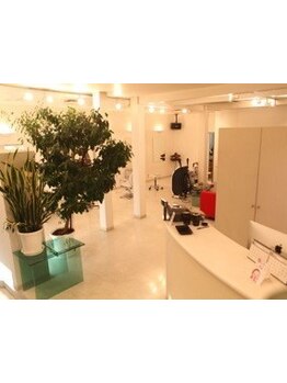 広々としたゆったり寛げる空間は大人女性に人気♪マンツーマンで担当し、あなたに合った最善の提案をします