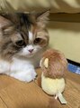 メルク(merc.)&nbsp;飼い猫のるーちゃん♪休日は遊んでまったりすごしてます♪
