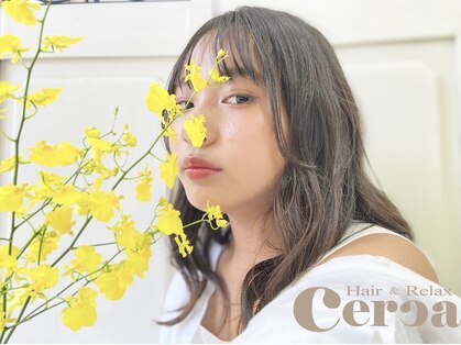 セルカ ヘアアンドリラックス(CERCA hair&relax)の写真