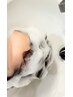 【癒し*】白髪ぼかしカラー・ヘッドスパ
