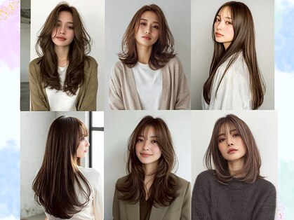 スターリリー(Starlily)の写真