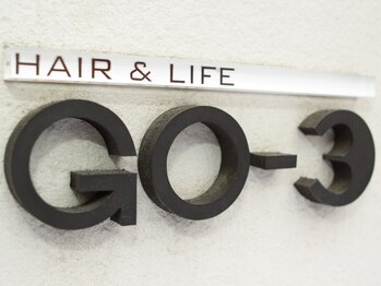 HAIR&LIFE GO-3
