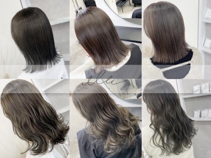 エル(elle.)の写真