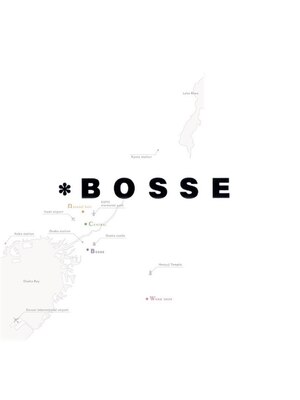 ボッセ(BOSSE)