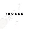 ボッセ(BOSSE)のお店ロゴ