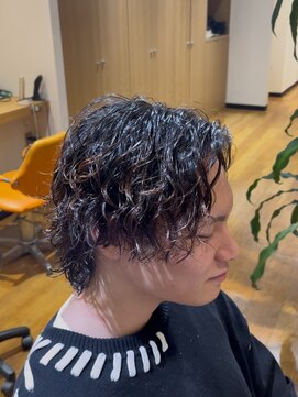 チャンピオン サーフカール