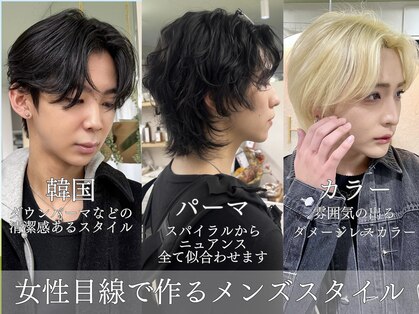 ハチ(HACHI)の写真
