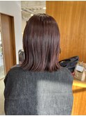 ピンクラベンダー