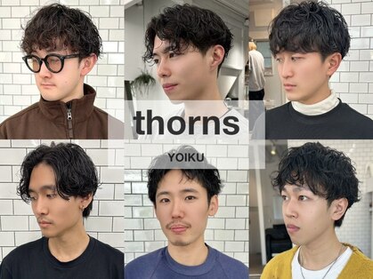 ソーンズ ヨイク(thorns YOIKU)の写真