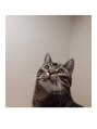 ポコリ(pocori) 猫。犬。　クラゲ。ぺンギン。ネズミ！　動物全般　大好きです！