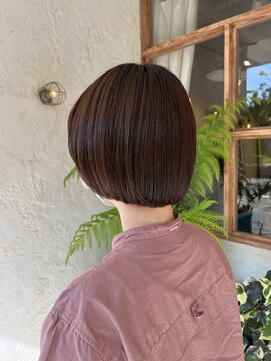 ノイ(noi) マッシュボブ。