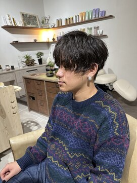 シラス(SiLasu) スパイラルマッシュ