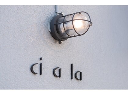 シアラ(ciala)の写真
