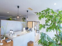 ノコルヘアー(Nocoru hair)