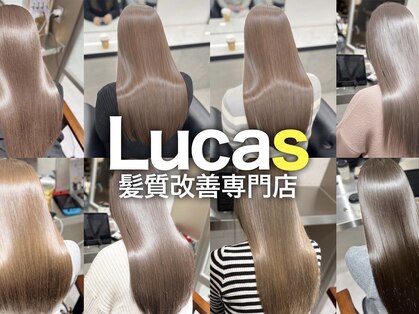 ルーカス(Lucas)の写真
