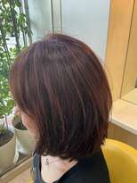 サロンちゃん&nbsp;ミディアム