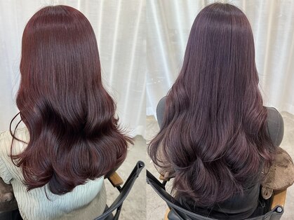 メルシー(merci.)の写真