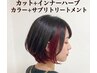 カット+インナーハーブカラー＋サプリトリートメント