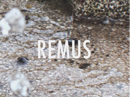 リーマス(REMUS)の写真