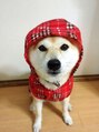 アレン ヘアメイク(ALEN hair make) 愛犬・さくら♀5歳